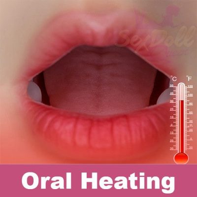 RIDMII | Oral Heating Upgrade (Not to Be Sold Without Sex Doll)
